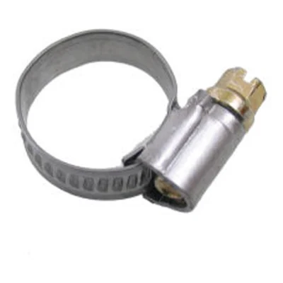 Slangklem Bofix 12-22mm (10 stuks)