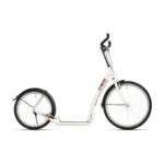 Step 20/24" Bikefun Bike2Go - wit