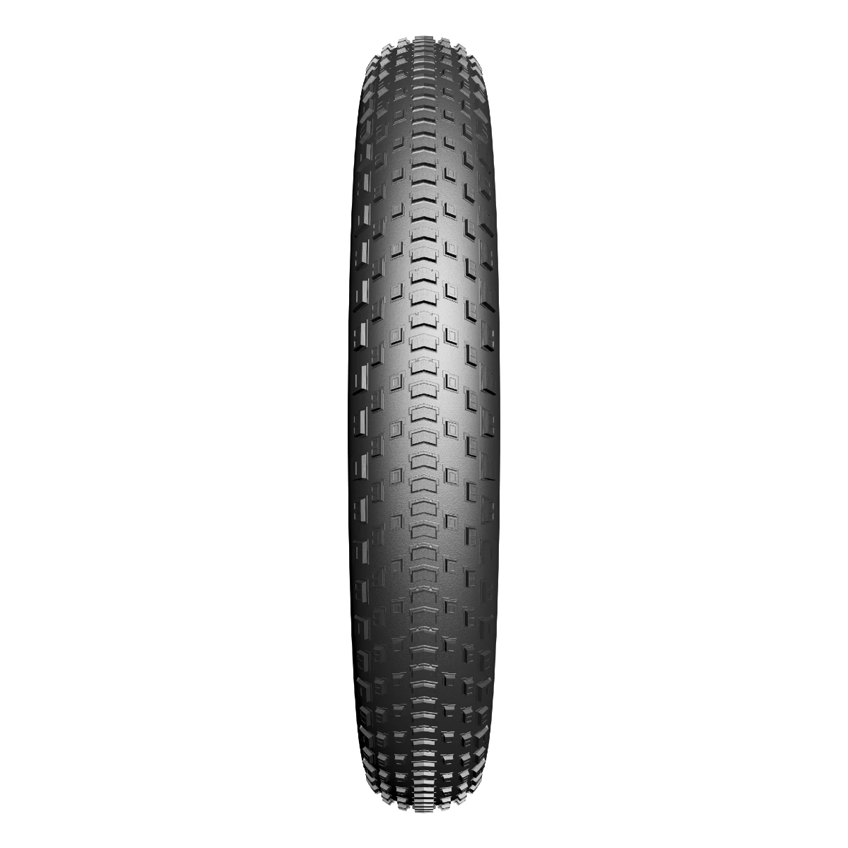 buitenband-edge-fat-bst-protect-20-x-4-00-101-406-fatbike-zwart-01